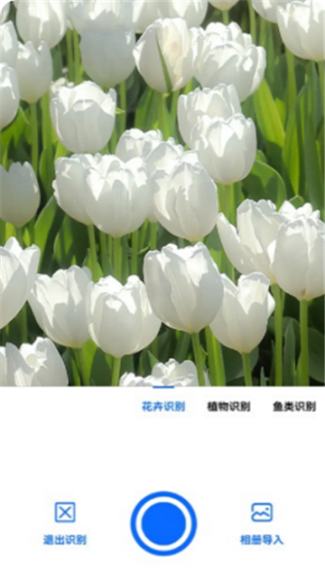 全能拍照识图安卓版