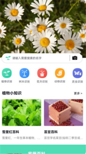 全能拍照识图安卓版
