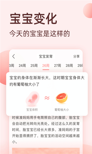 她抚孕育