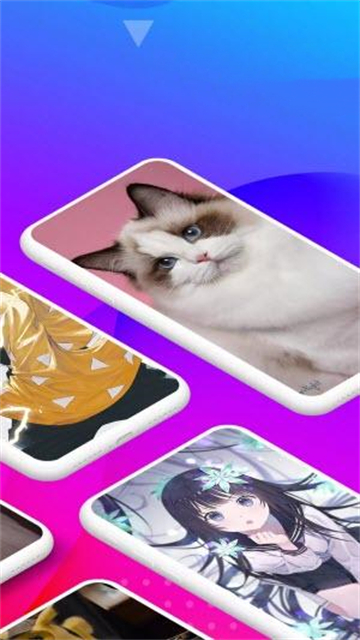 高清动态壁纸标准版
