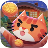 快给猫玩